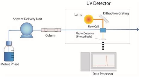 why can't sucralose be analyzed with uv absorbance detection|sucralose and cyclamate.